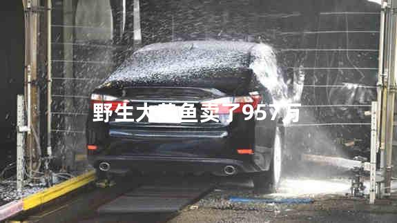 野生大黄鱼卖了957万
