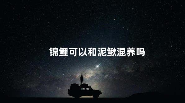 锦鲤可以和泥鳅混养吗