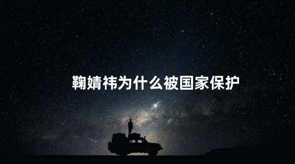 鞠婧祎为什么被国家保护