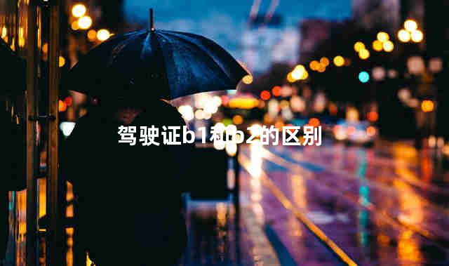 驾驶证b1和b2的区别