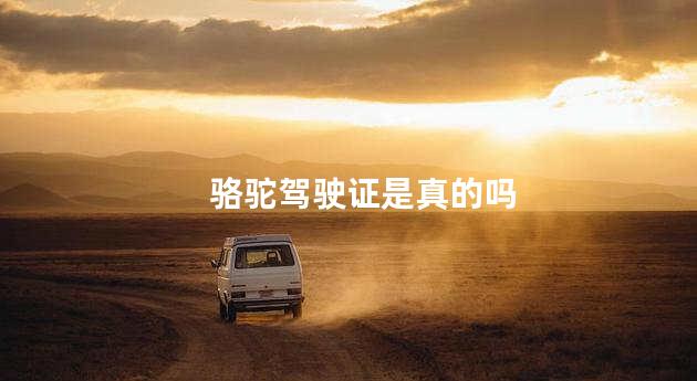 骆驼驾驶证是真的吗