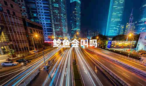 鲶鱼会叫吗