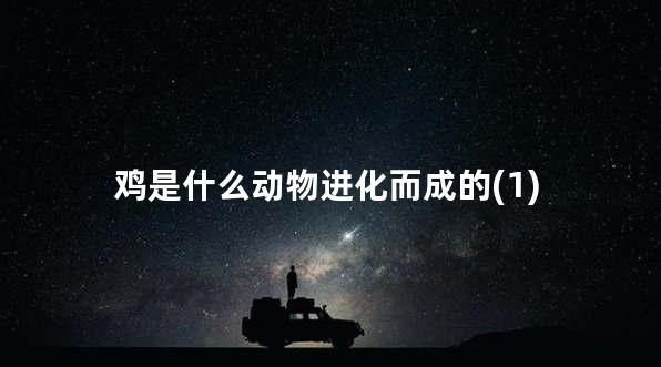 鸡是什么动物进化而成的(1)
