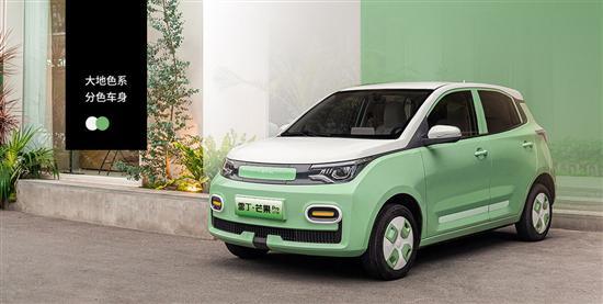 5万买什么电动车 雷丁芒果/芒果Pro又推新车